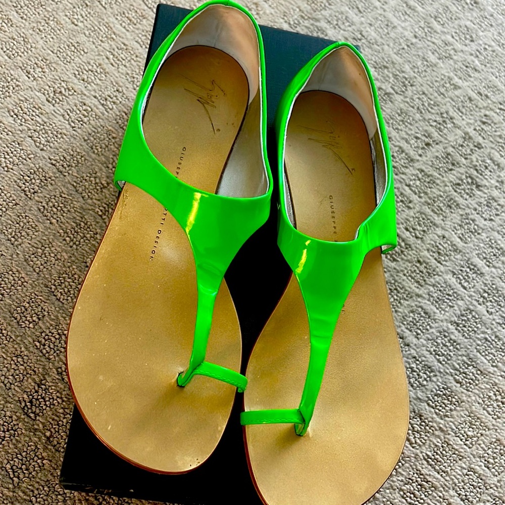 Giuseppe for sale